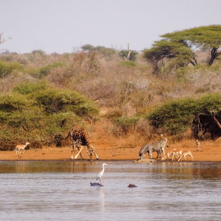 african-landscape-2025-03-05-12-32-43-utc