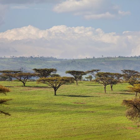 african-landscapes-2025-01-09-09-02-59-utc