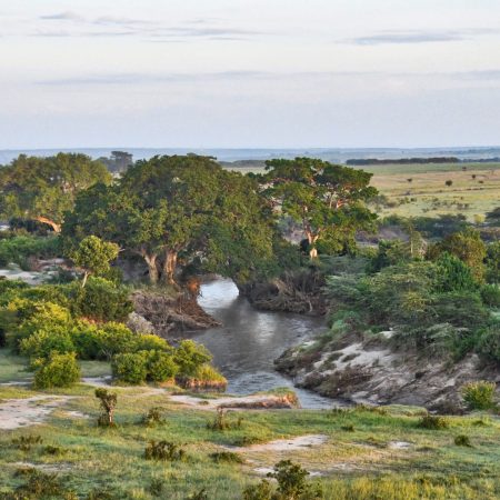 beautiful-fairytale-like-landscape-of-africa-2024-10-18-05-12-33-utc