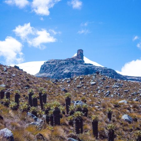 beautiful-view-of-el-cocuy-national-park-colomb-2025-02-11-21-55-59-utc