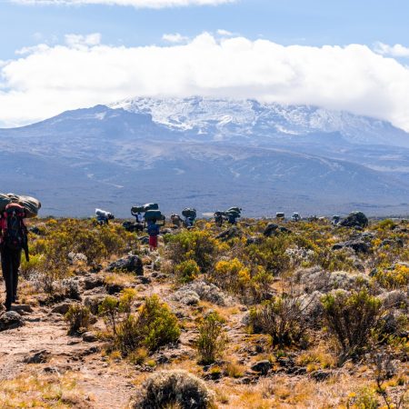 hikers-climbing-mount-kilimanjaro-in-tanzania-2025-02-06-03-47-50-utc