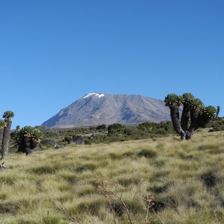 hiking-kilimanjaro-from-horombo-huts-2025-02-12-00-02-29-utc