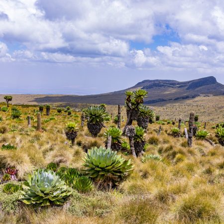 kenyan-landscapes-dragons-teeth-mount-satima-lesat-2024-10-18-17-56-55-utc