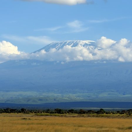 kilimanjaro-on-african-savannah-2025-04-01-14-26-53-utc
