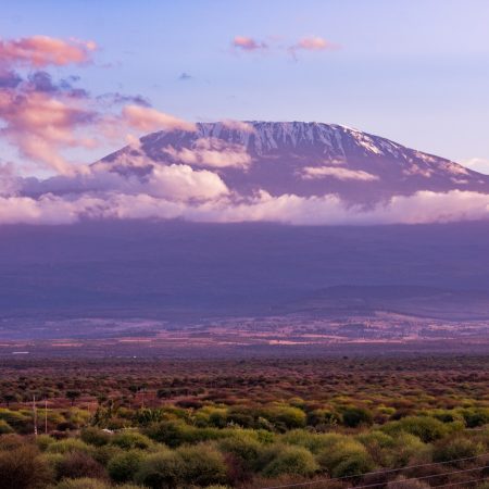 mount-kilimanjaro-is-the-name-of-the-tallest-mount-2024-10-19-23-37-00-utc