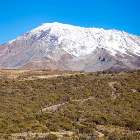 snow-on-top-of-mount-kilimanjaro-2025-01-09-06-05-01-utc