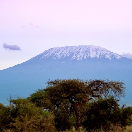 snow-on-top-of-mount-kilimanjaro-in-amboseli-2025-04-02-03-14-45-utc