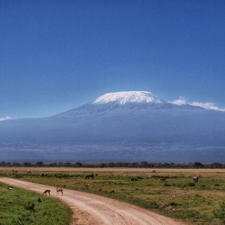 the-road-to-kilimanjaro-2024-12-01-09-18-50-utc