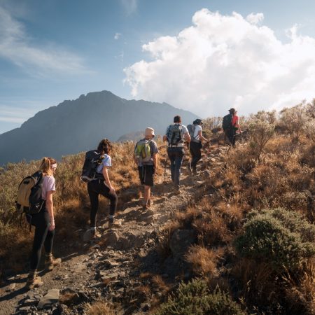 tourists-hiking-up-mount-meru-in-arusha-national-p-2025-03-13-20-06-55-utc