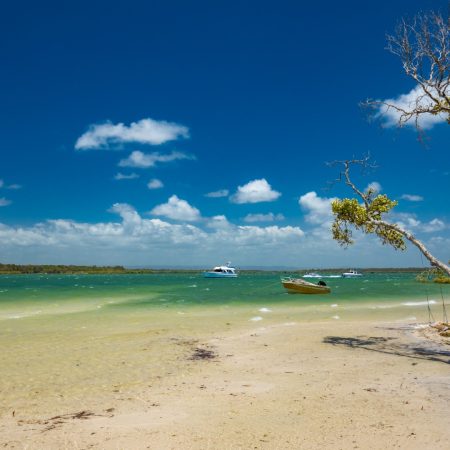 tropical-beach-with-trees-on-the-east-side-of-brib-2024-11-26-19-01-24-utc